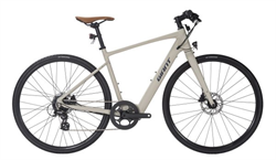 Xe đạp trợ lực điện Giant FASTROAD E+ 2023***
